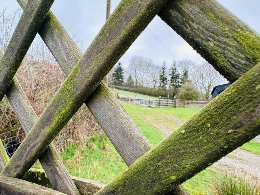 Upper Caerfaelog Farmhouse Llanbister 外观 照片